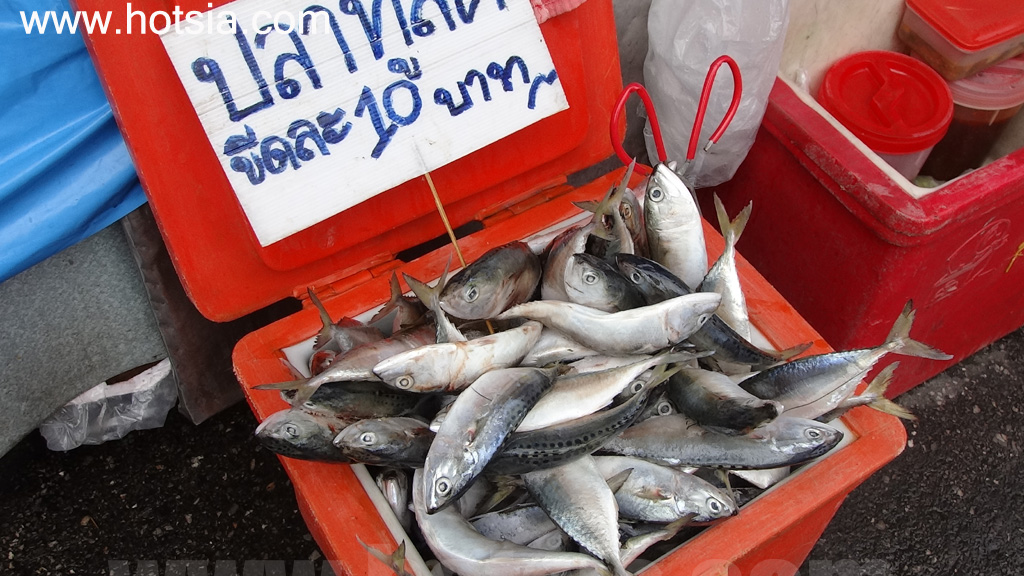เมืองเชียงราย ตลาดเย็นเมืองเชียงราย