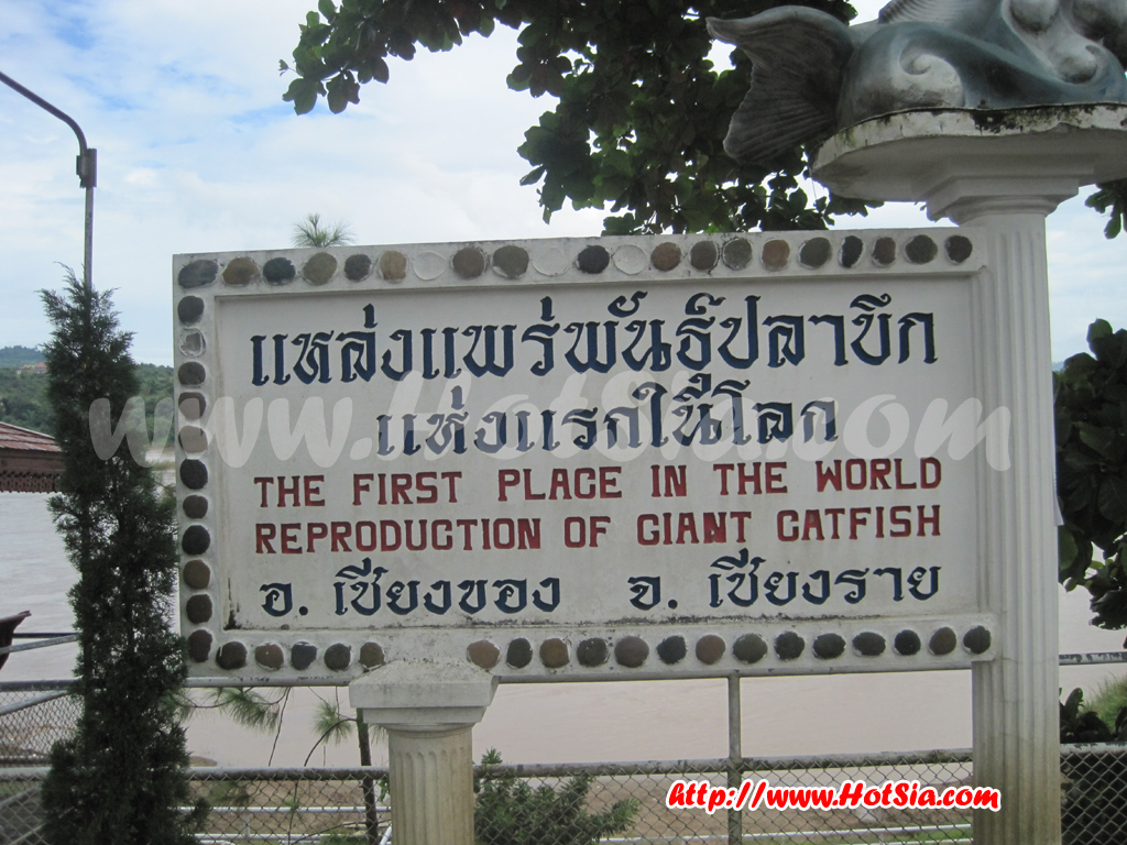 เชียงราย หาดไคร้