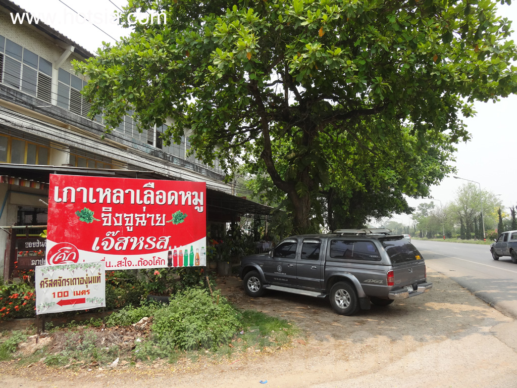 เที่ยวเชียงราย สุดยอดต้มเลือดหมูจิงจูฉ่าย