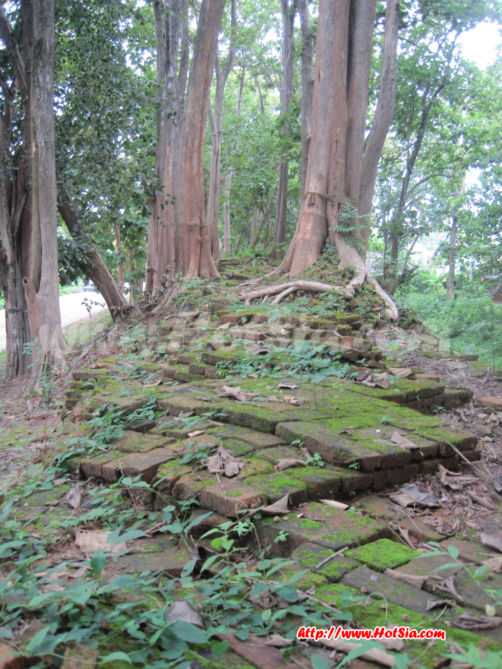 กำแพงเมืองเชียงแสน