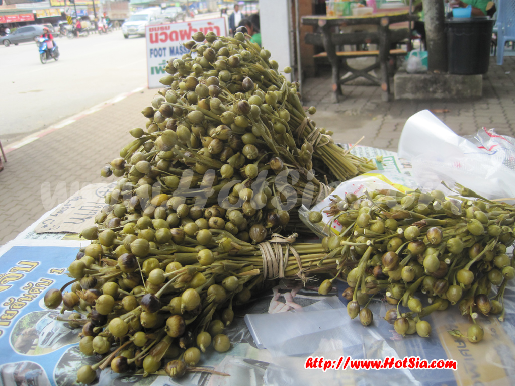 เชียงราย ตลาดชายแดนแม่สาย