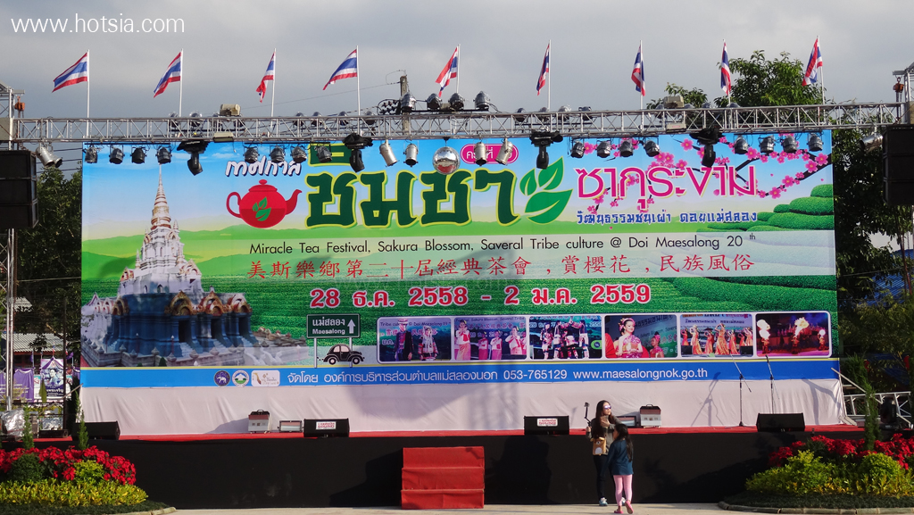 เที่ยวเชียงราย เทศกาลชิมชาดอยแม่สลอง