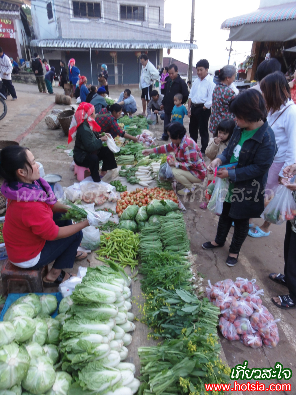 เที่ยวเชียงราย ตลาดเช้าดอยแม่สลอง