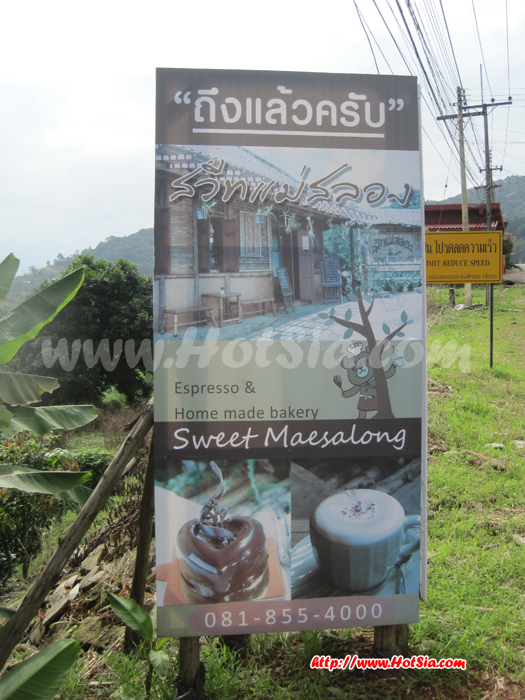 เชียงราย สวีทแม่สลอง