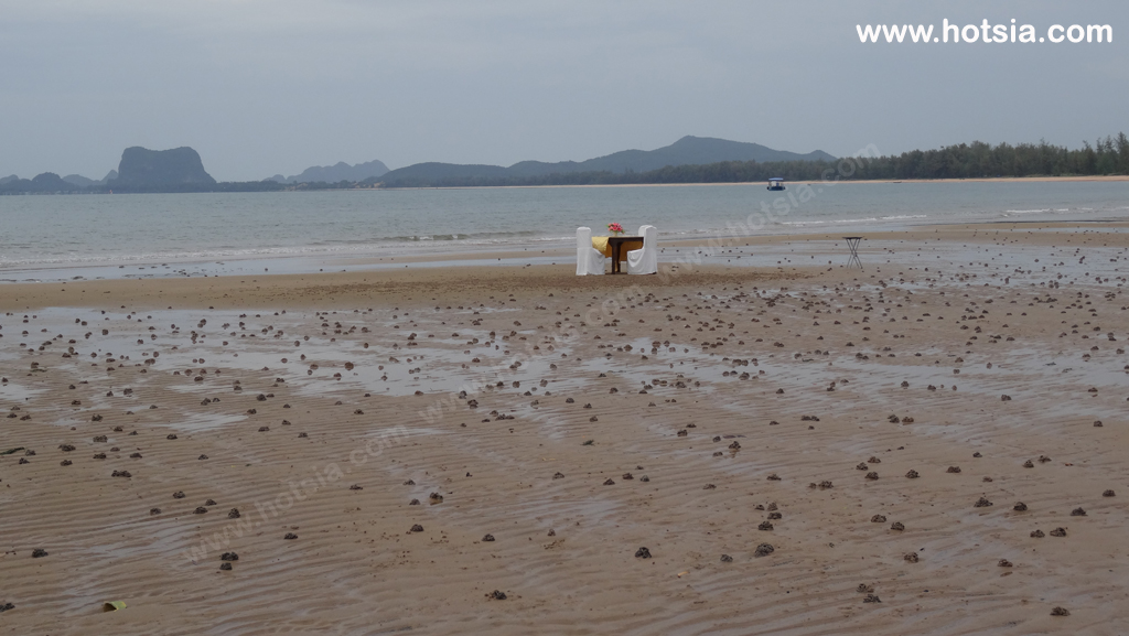 ชุมพร เผยแพร่จาน้ำปลาเค็ม หาดบางเบิด