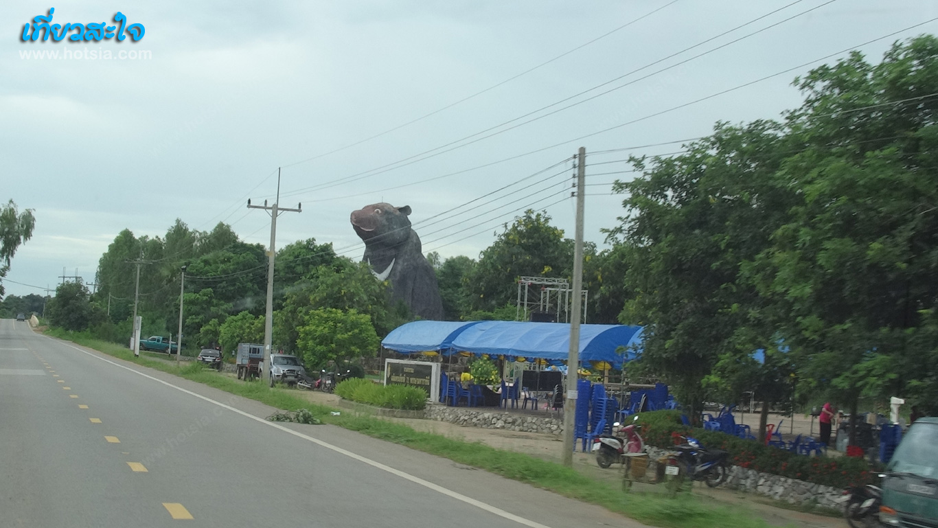 ขอนแก่น หมีใหญ่ที่สุดในโลก
