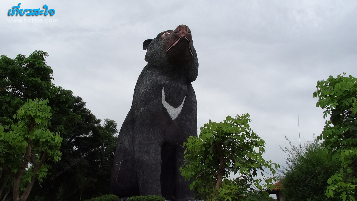 ขอนแก่น หมีใหญ่ที่สุดในโลก