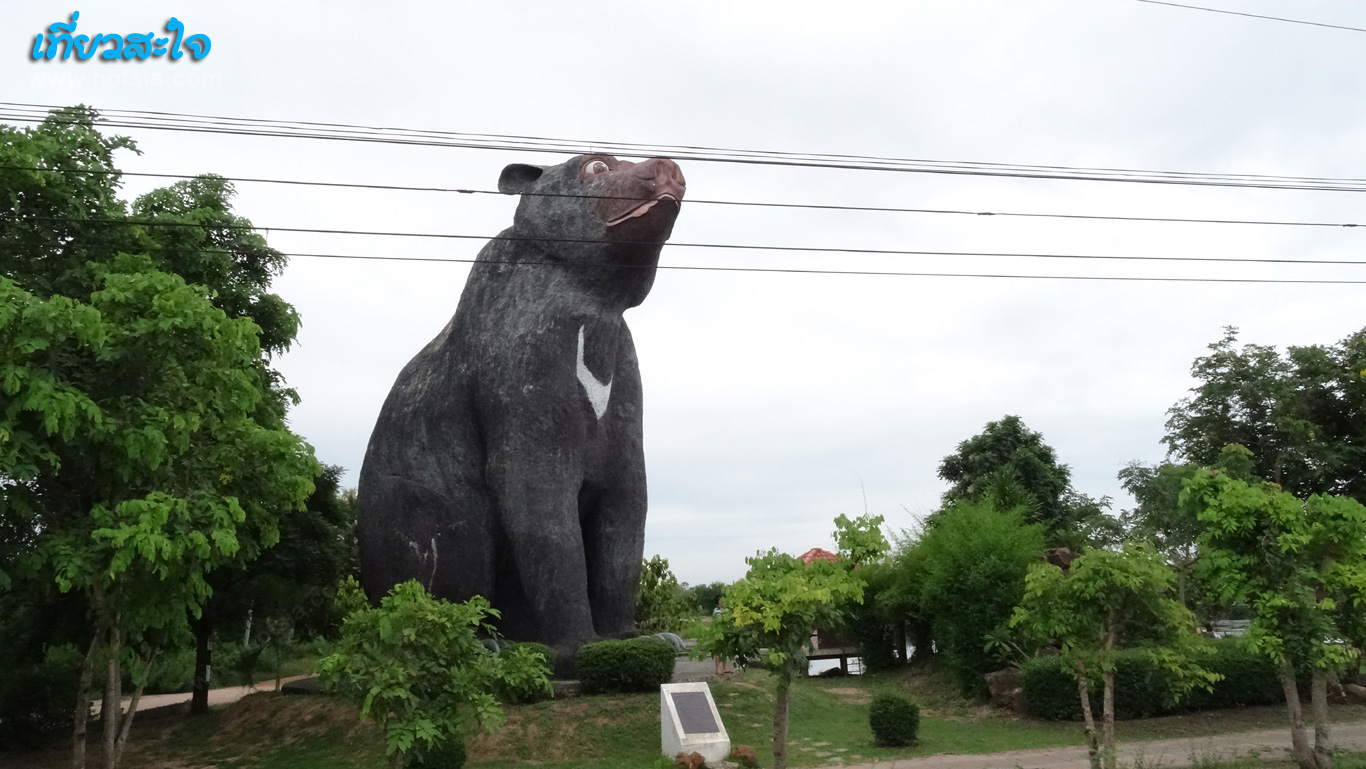 ขอนแก่น หมีใหญ่ที่สุดในโลก