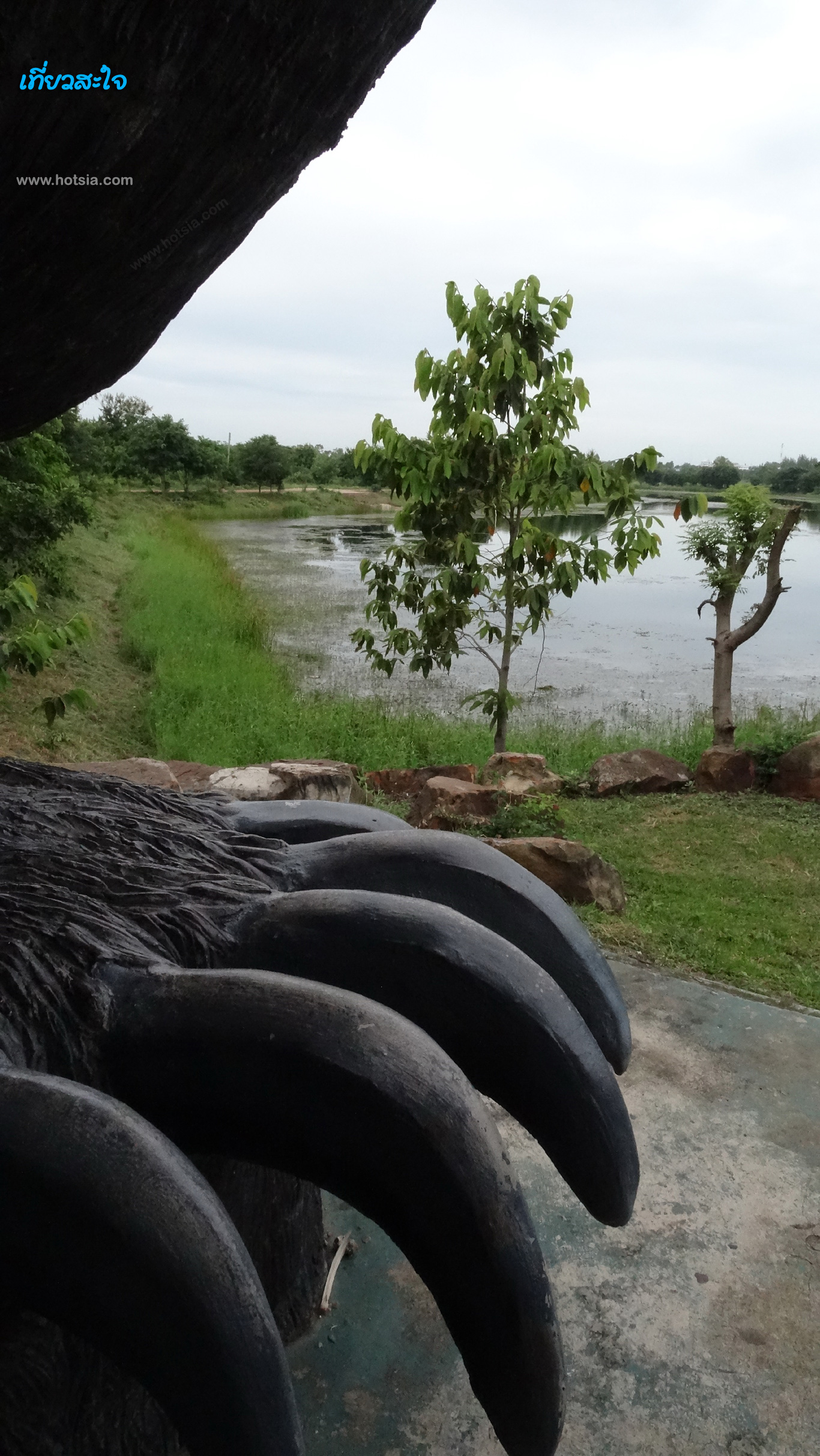 ขอนแก่น หมีใหญ่ที่สุดในโลก