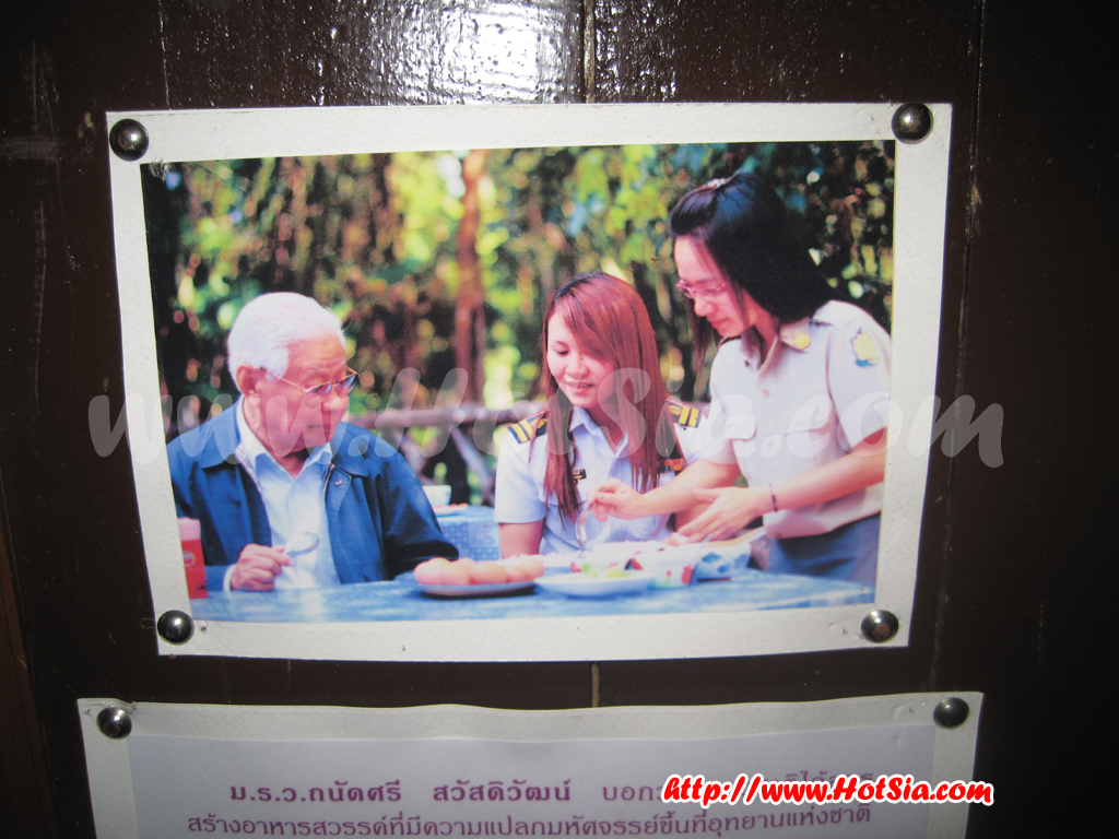 ลำปาง แค้มปิ้งน้ำพุร้อนแจ้ซ้อน
