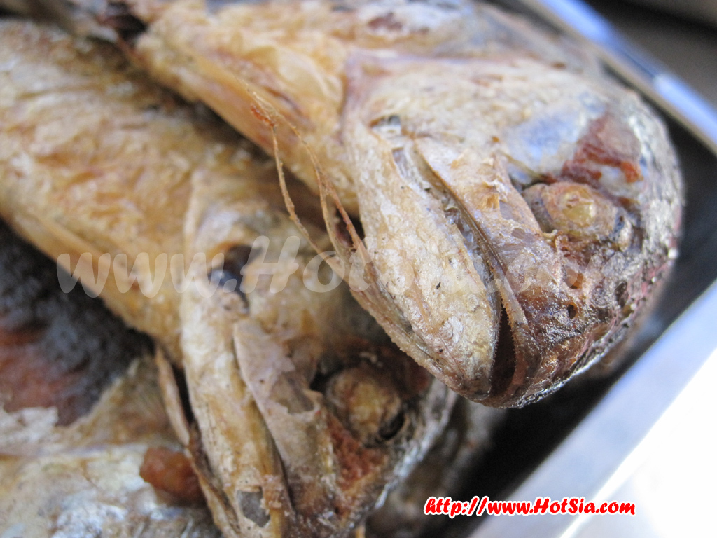 ลำปาง ร้านอาหารปักษ์ใต้โกบอยลำปาง