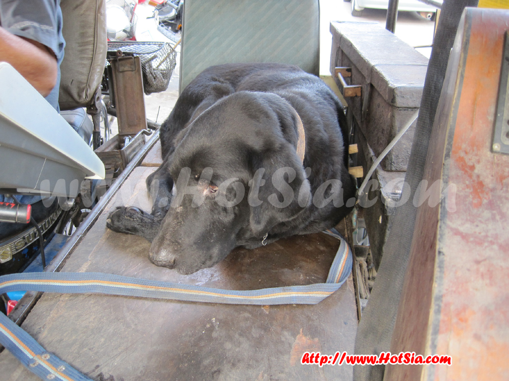 ลำปาง สีสันลำปางกับลุงซอไม้ไผ่หน้าตลาดอัศวิน