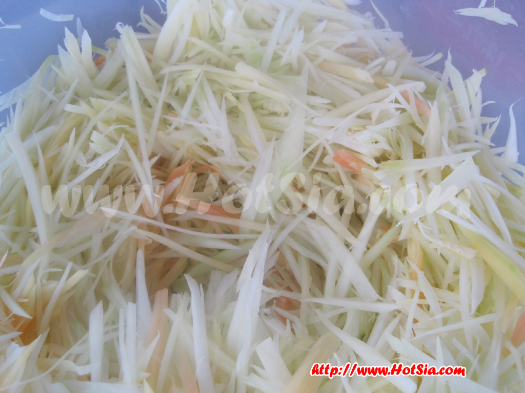 ลำปาง ส้มตำป้าขัน ส้มตำยายขัน ลำปาง ตำปูปลาร้า ตำมะม่วง ข้างสถานีรถไฟ ลำปาง