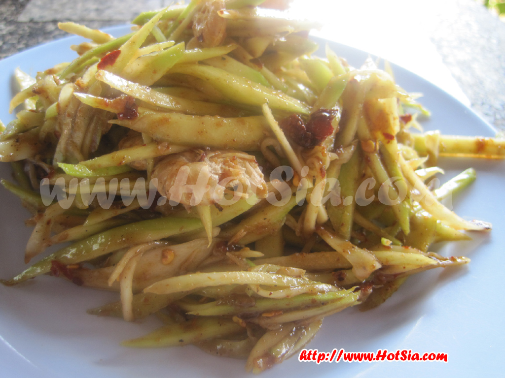 ลำปาง ส้มตำป้าขัน ส้มตำยายขัน ลำปาง ตำปูปลาร้า ตำมะม่วง ข้างสถานีรถไฟ ลำปาง