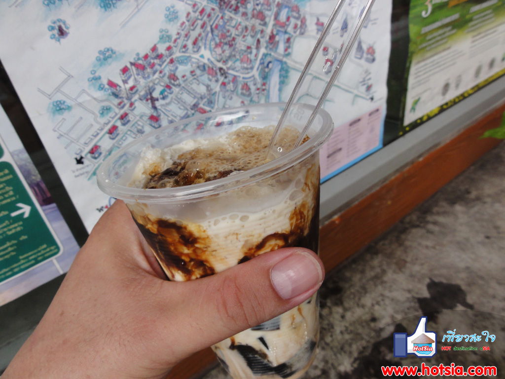 เที่ยวลำพูน เฉาก๊วยอร่อยที่สุดในเมืองมนุษย์