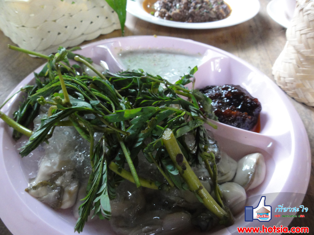 เที่ยวลำพูน ร้านอาหารลาบลุงนิล ลาบลุงนิลลำพูน