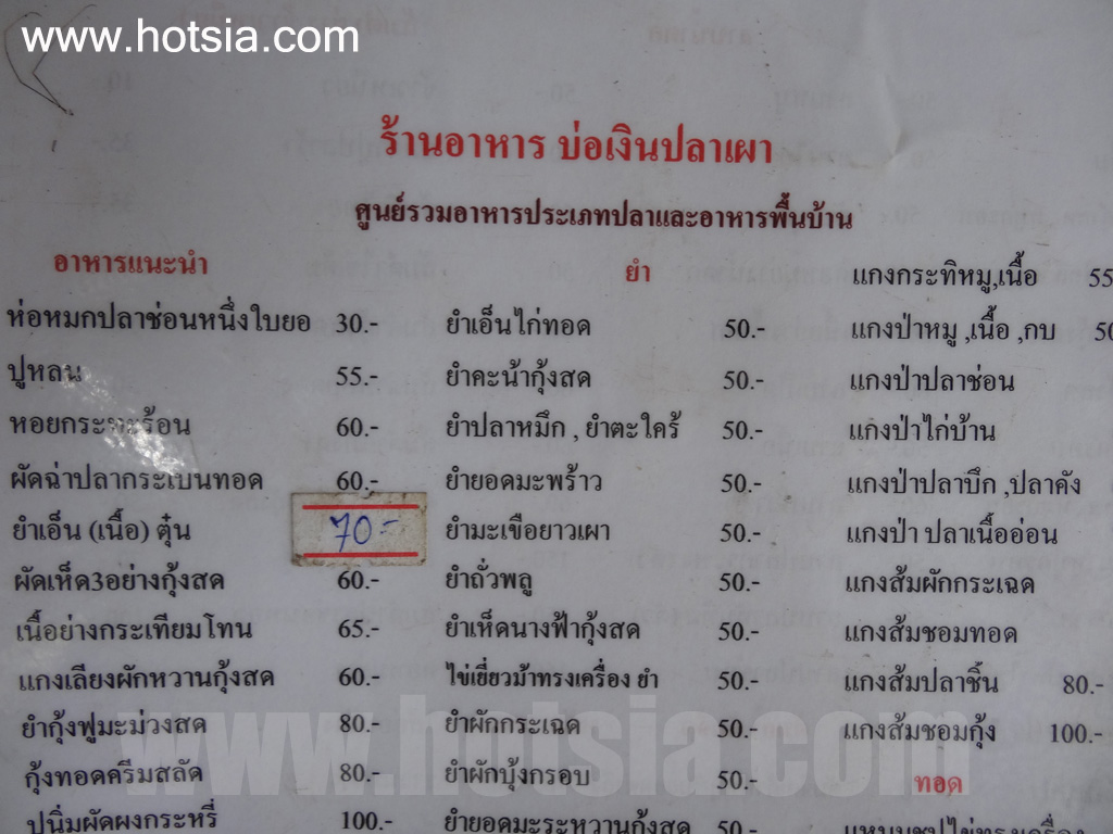 ลพบุรี งูเห่าผัดเผ็ด ตะพาบผัดฉ่า บ่อเงินปลาเผา ลพบุรี