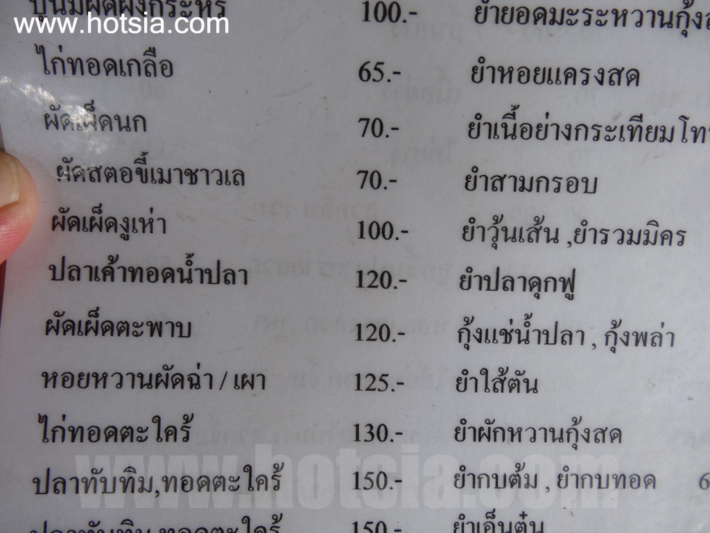 ลพบุรี งูเห่าผัดเผ็ด ตะพาบผัดฉ่า บ่อเงินปลาเผา ลพบุรี