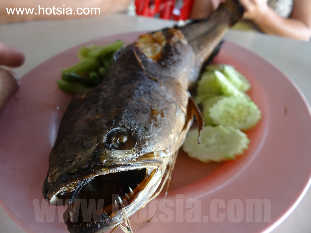 ลพบุรี งูเห่าผัดเผ็ด ตะพาบผัดฉ่า บ่อเงินปลาเผา ลพบุรี