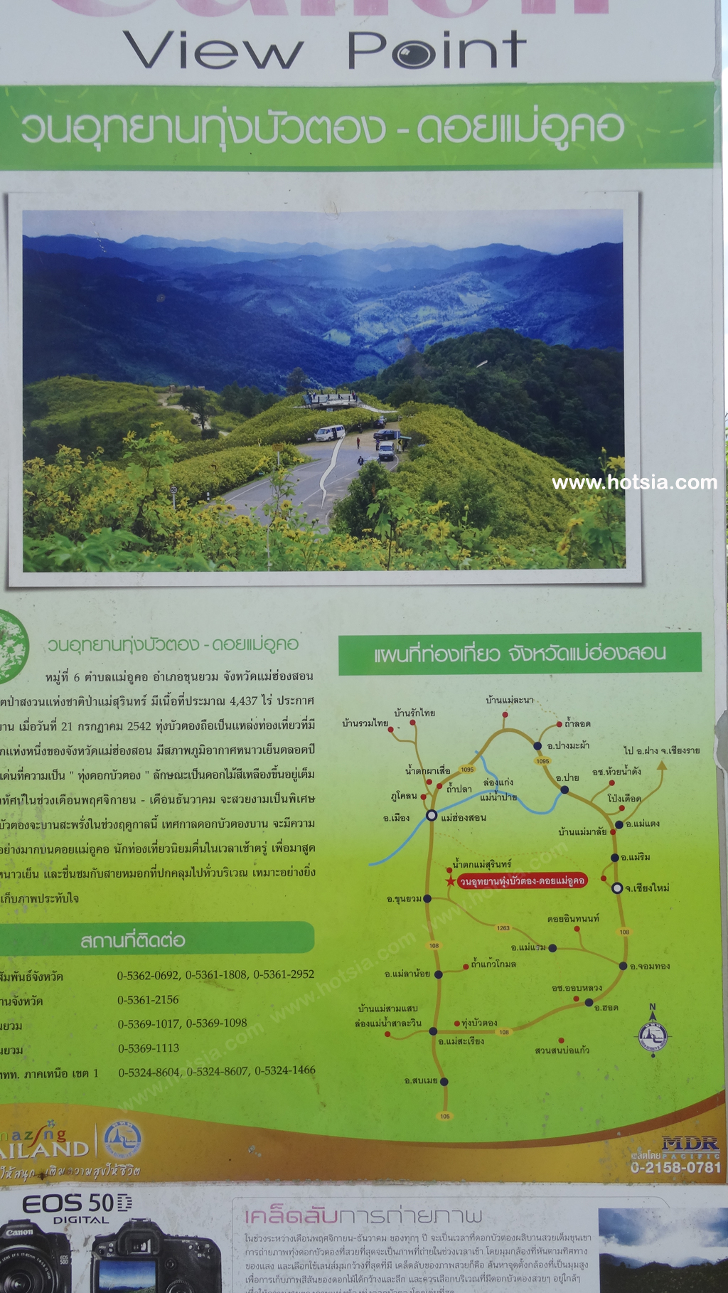 แม่ฮ่องสอน ทุ่งบัวตองดอยแม่อูคอ