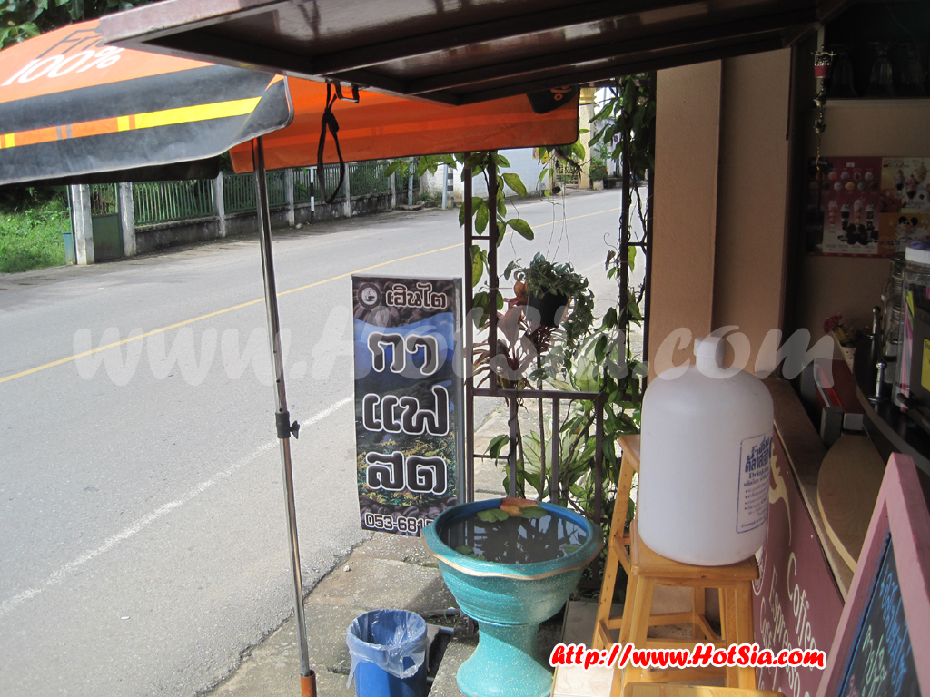 เที่ยวแม่ฮ่องสอน เฮือนไตคอฟฟี่ แม่สะเรียง กาแฟสดแม่สะเรียง