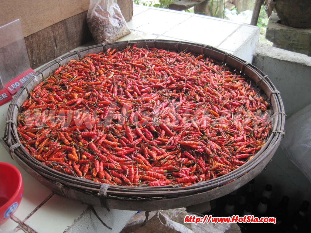 เที่ยวแม่ฮ่องสอน กินปลาสาละวิน ร้านธนบริการ แม่สะเรียง