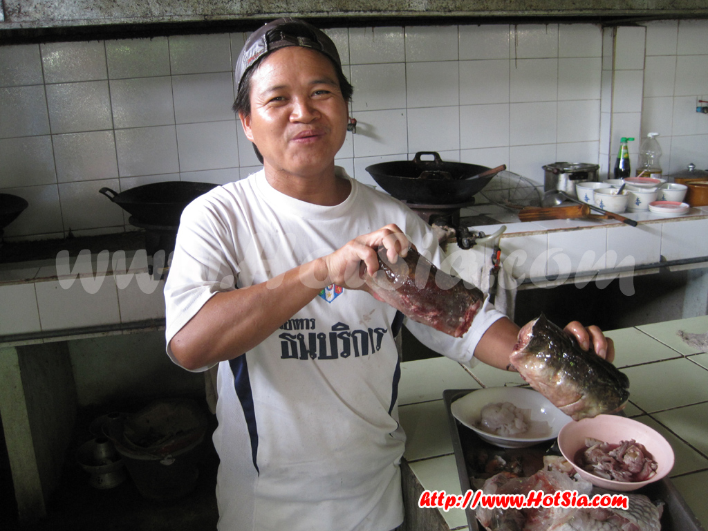 เที่ยวแม่ฮ่องสอน กินปลาสาละวิน ร้านธนบริการ แม่สะเรียง