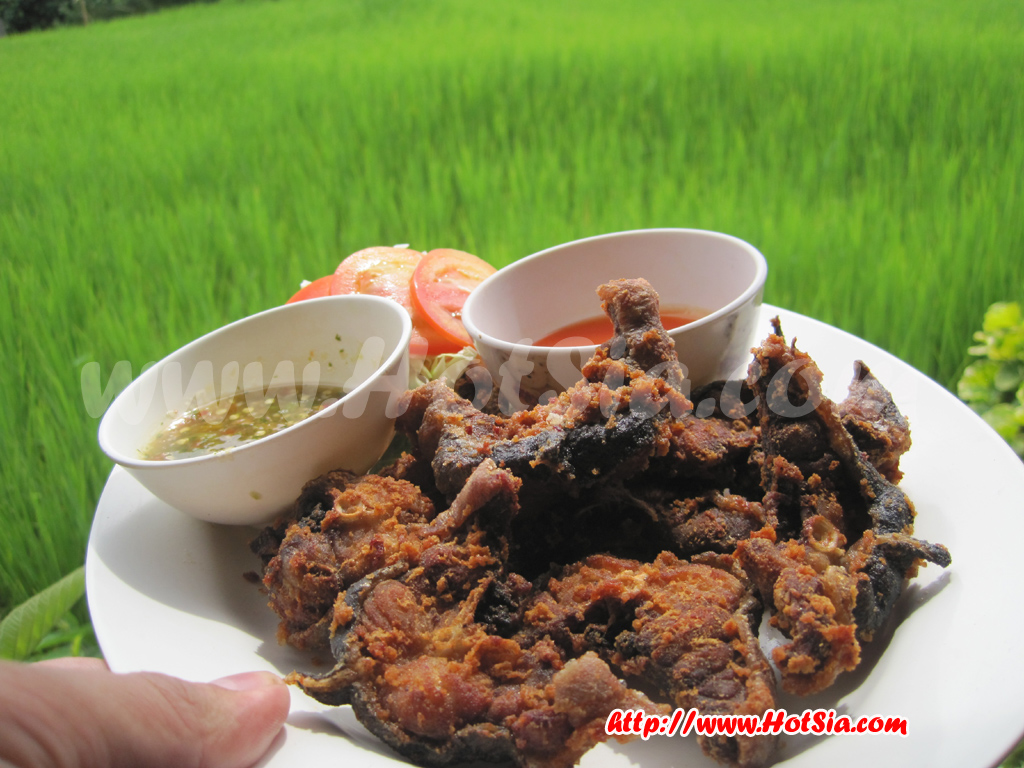 เที่ยวแม่ฮ่องสอน กินปลาสาละวิน ร้านธนบริการ แม่สะเรียง