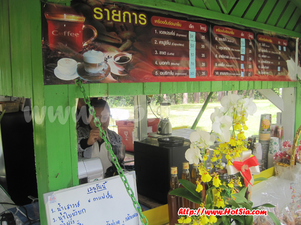 เที่ยวแม่ฮ่องสอน ร้านกาแฟสดสวนสน