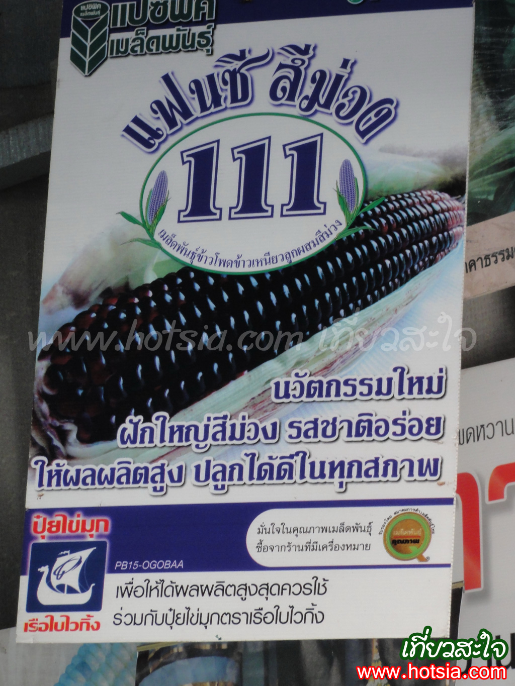 เที่ยวนครศรีธรรมราช ข้าวโพดแฟนซีสีม่วง