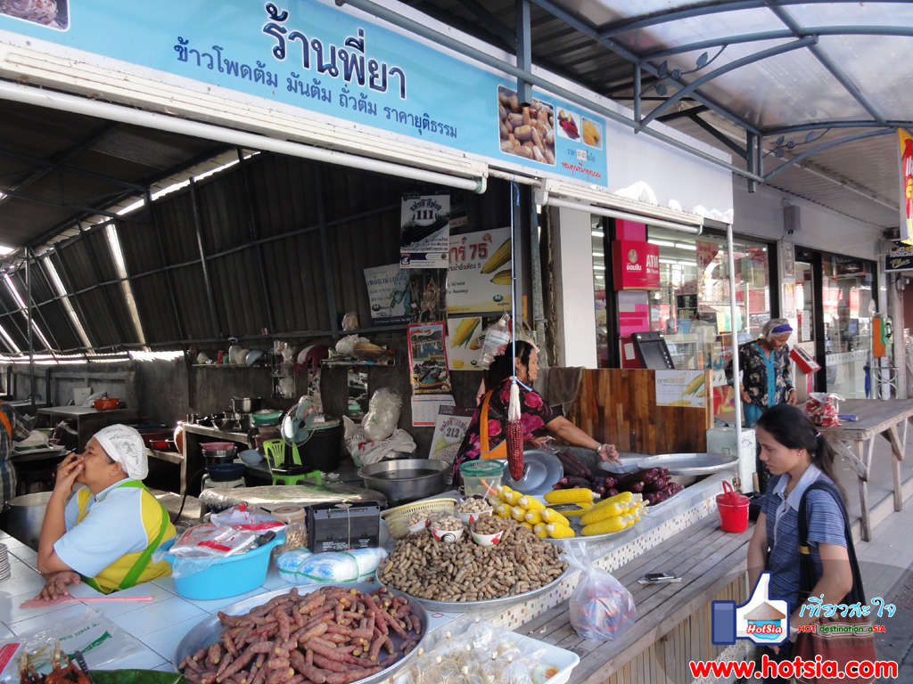 เที่ยวนครศรีธรรมราช ข้าวโพดแฟนซีสีม่วง