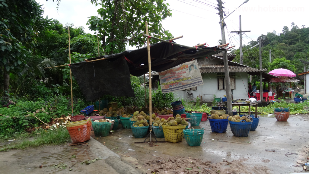 นครศรีธรรมราช บ้านคีรีวงลานสกา