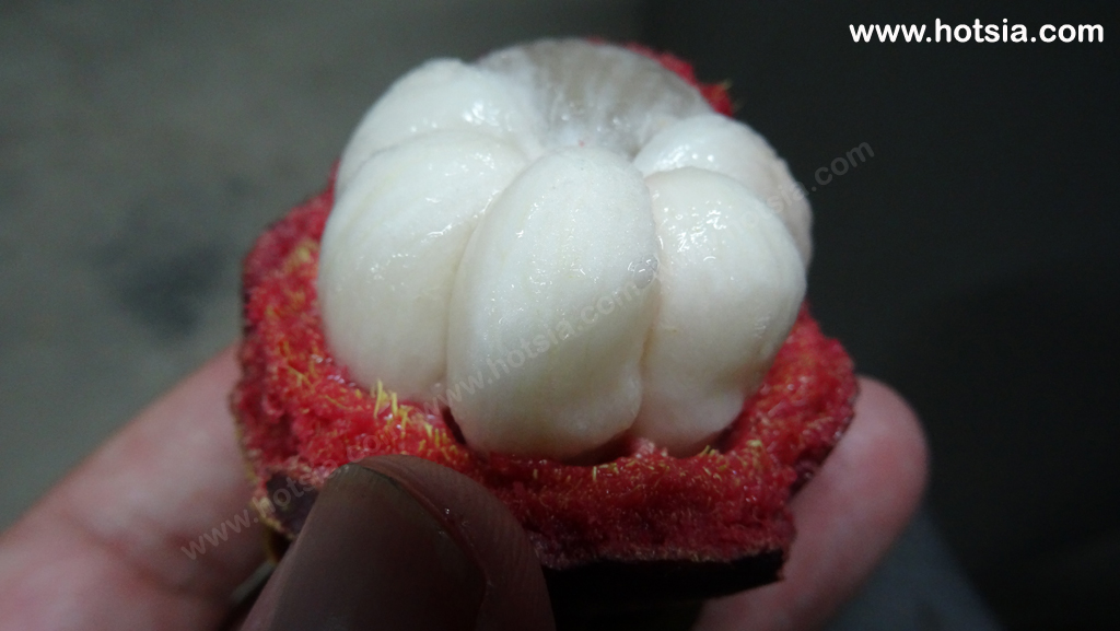 นครศรีธรรมราช มังคุดลานสกา