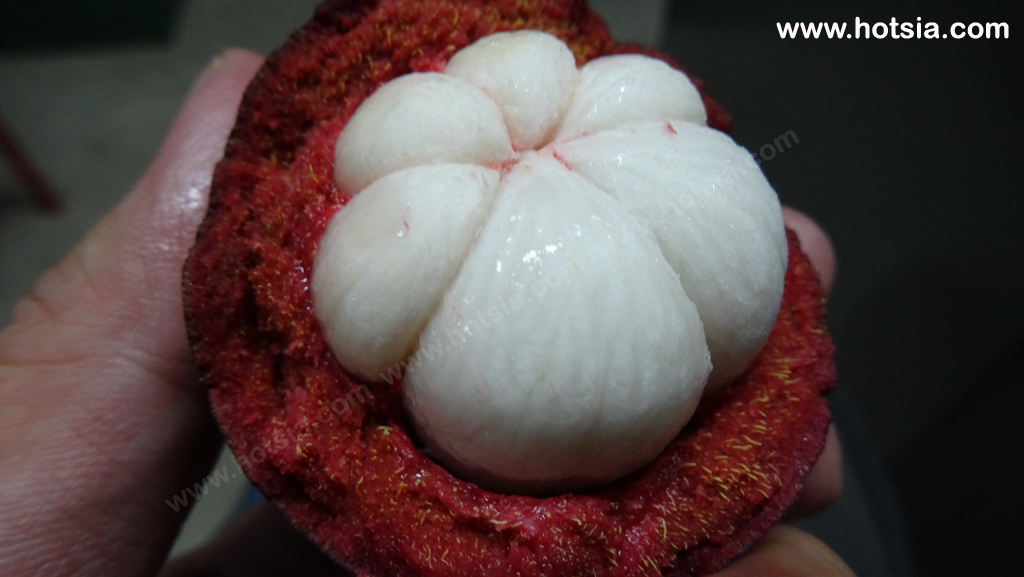 นครศรีธรรมราช มังคุดลานสกา