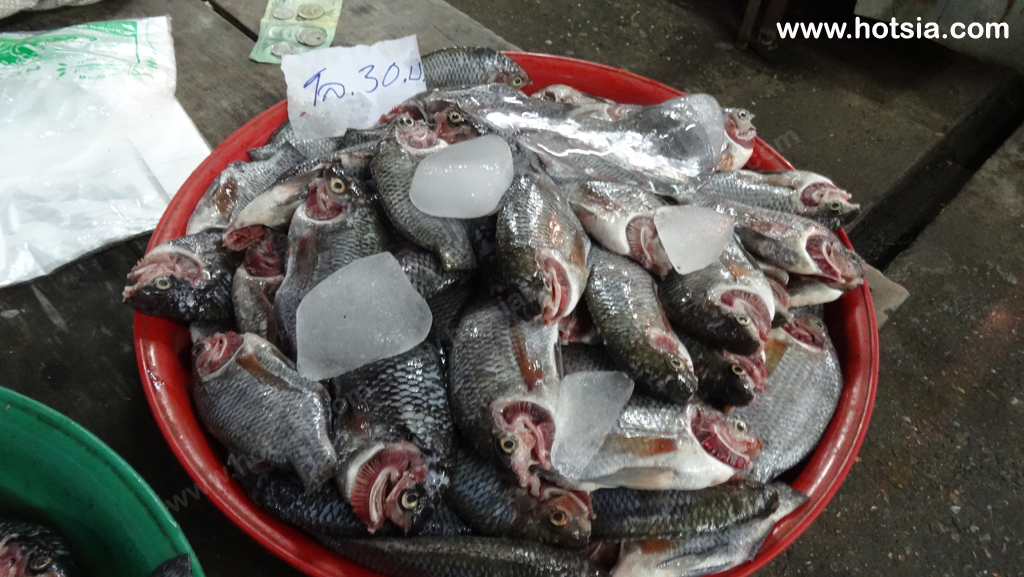 นครศรีธรรมราช ตลาดเช้าปากพนัง
