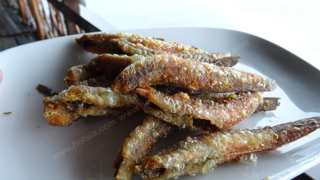 นครศรีธรรมราช กินสะใจอาหารทะเลปากพนัง