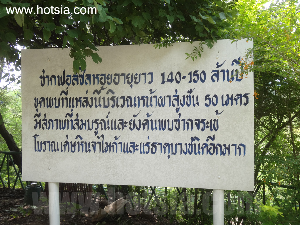 หนองบัวลำภู พิพิธภัณฑ์ไดโนเสาร์ หนองบัวลําภู