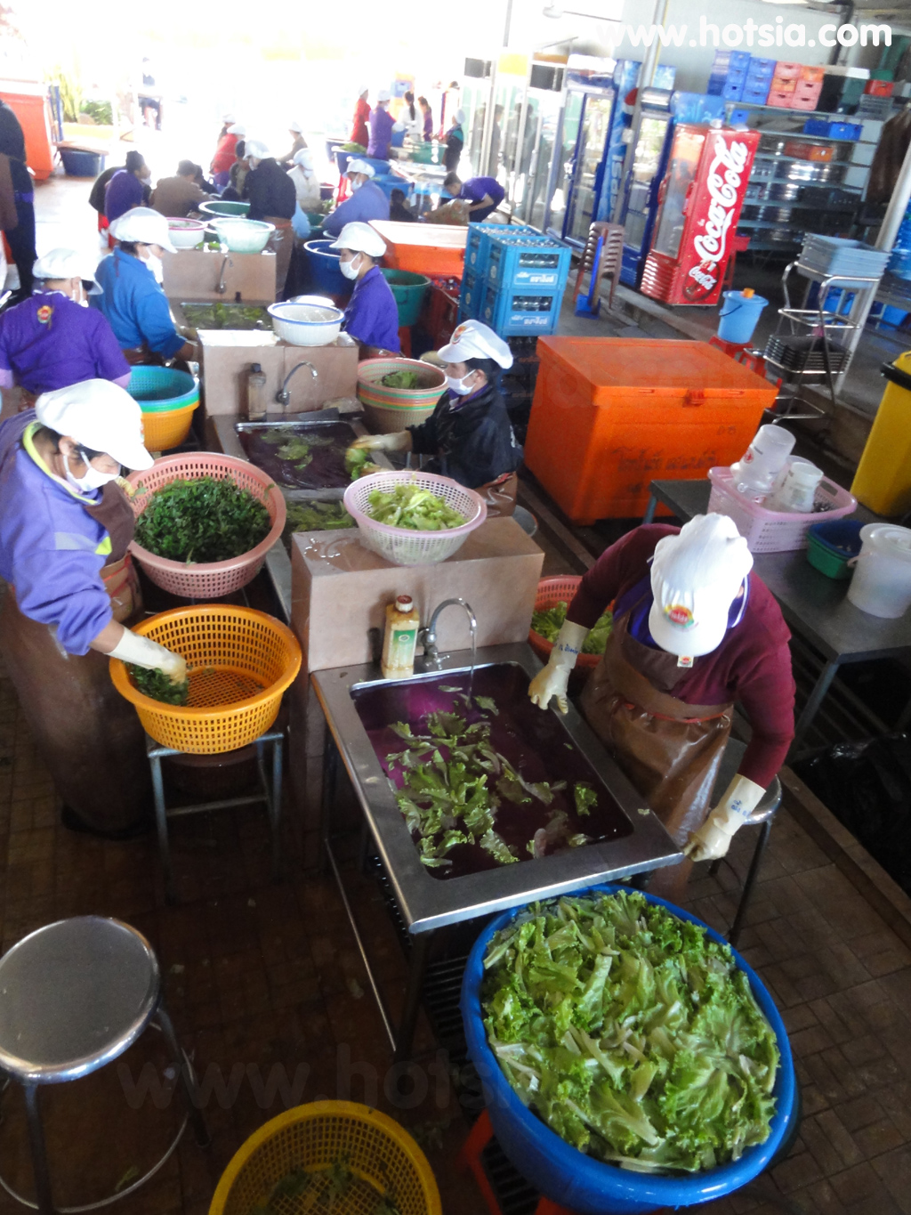 เที่ยวหนองคาย แดงแหนมเนือง