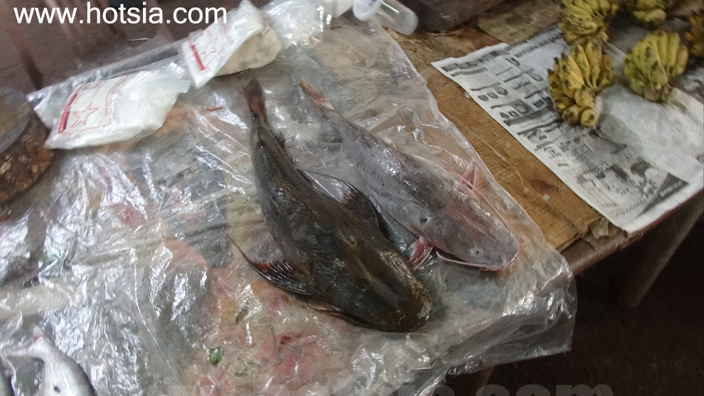 หนองคาย ตลาดเช้าโพนพิสัย