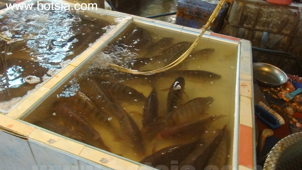 หนองคาย ตลาดเช้าโพนพิสัย