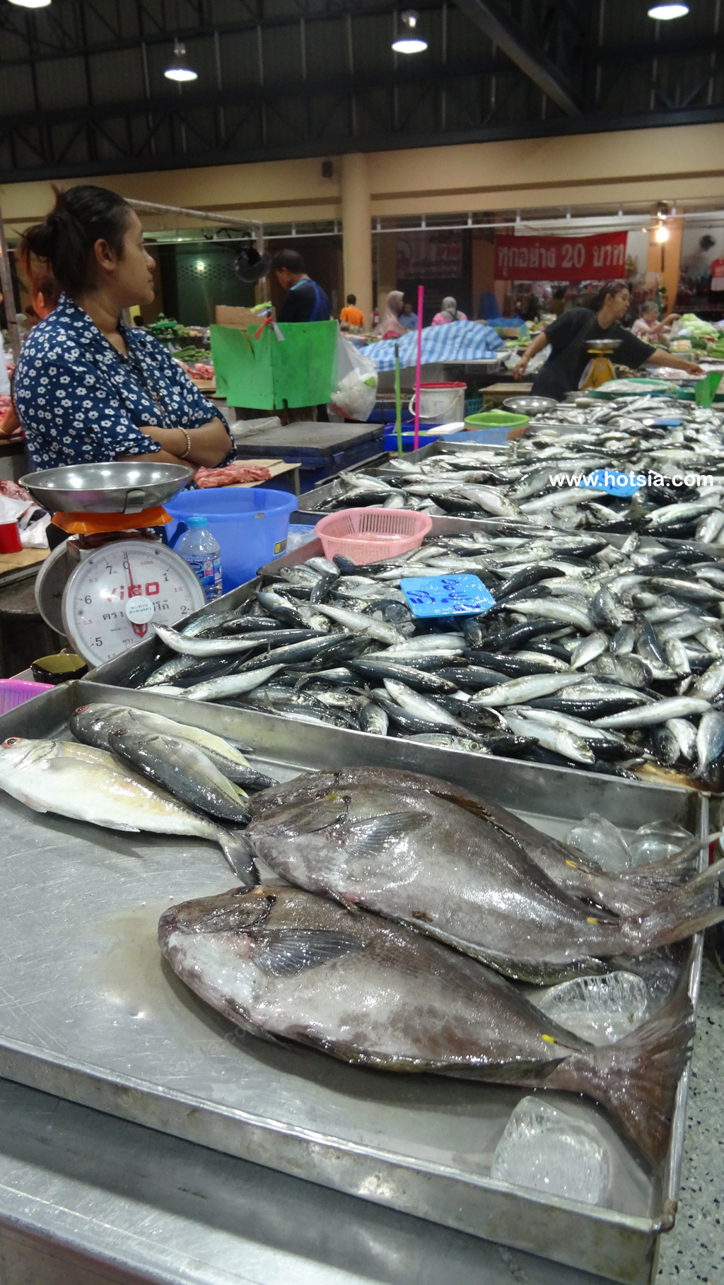 พังงา ตลาดเช้าพังงา