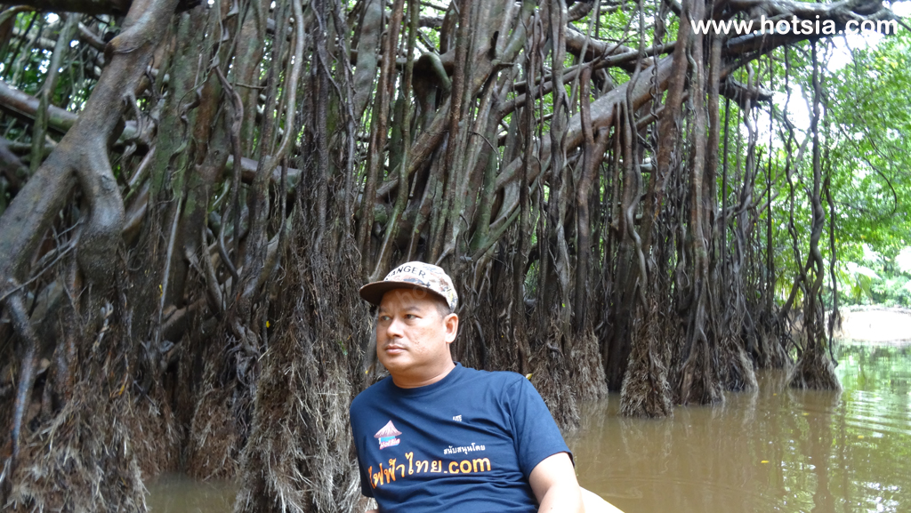 พังงา สูตรลับเที่ยวสะใจตะกั่วป่า ล่องเรือชมงูลิเติลอเมซอล เดินเมืองเก่า กินขนมเต้าส้อ