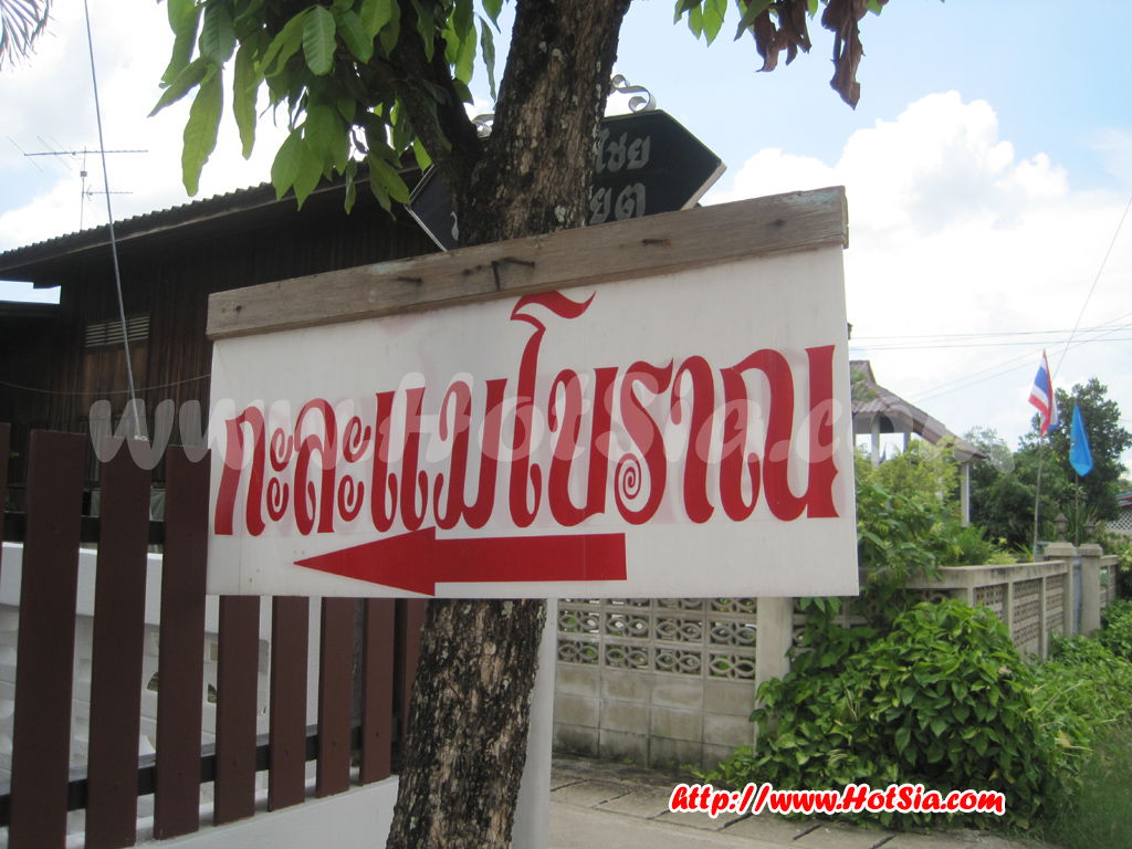 พะเยา กาละแมโบราณ เชียงคำ พะเยา