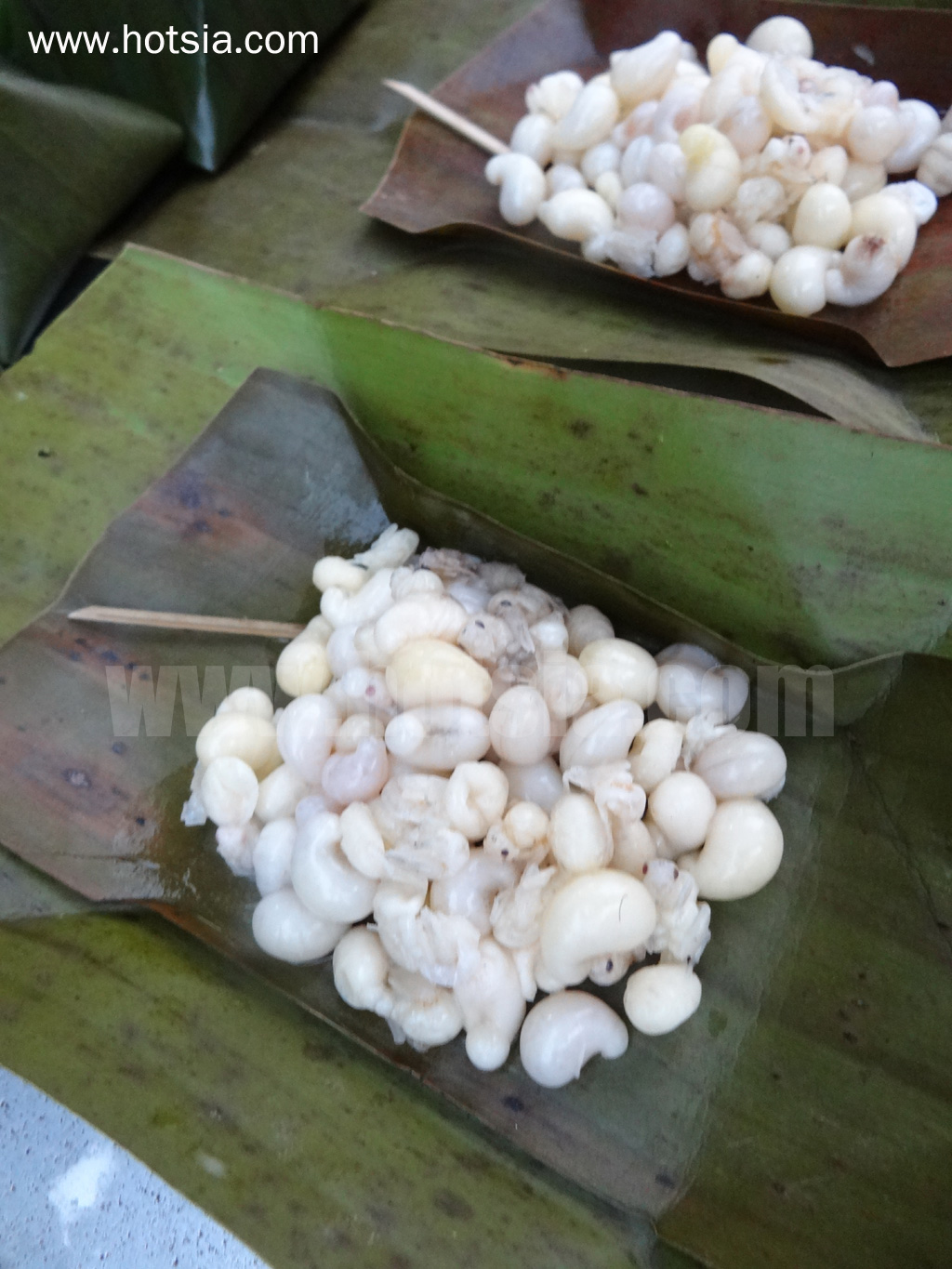 เที่ยวพะเยา ตลาดเช้าพะเยา