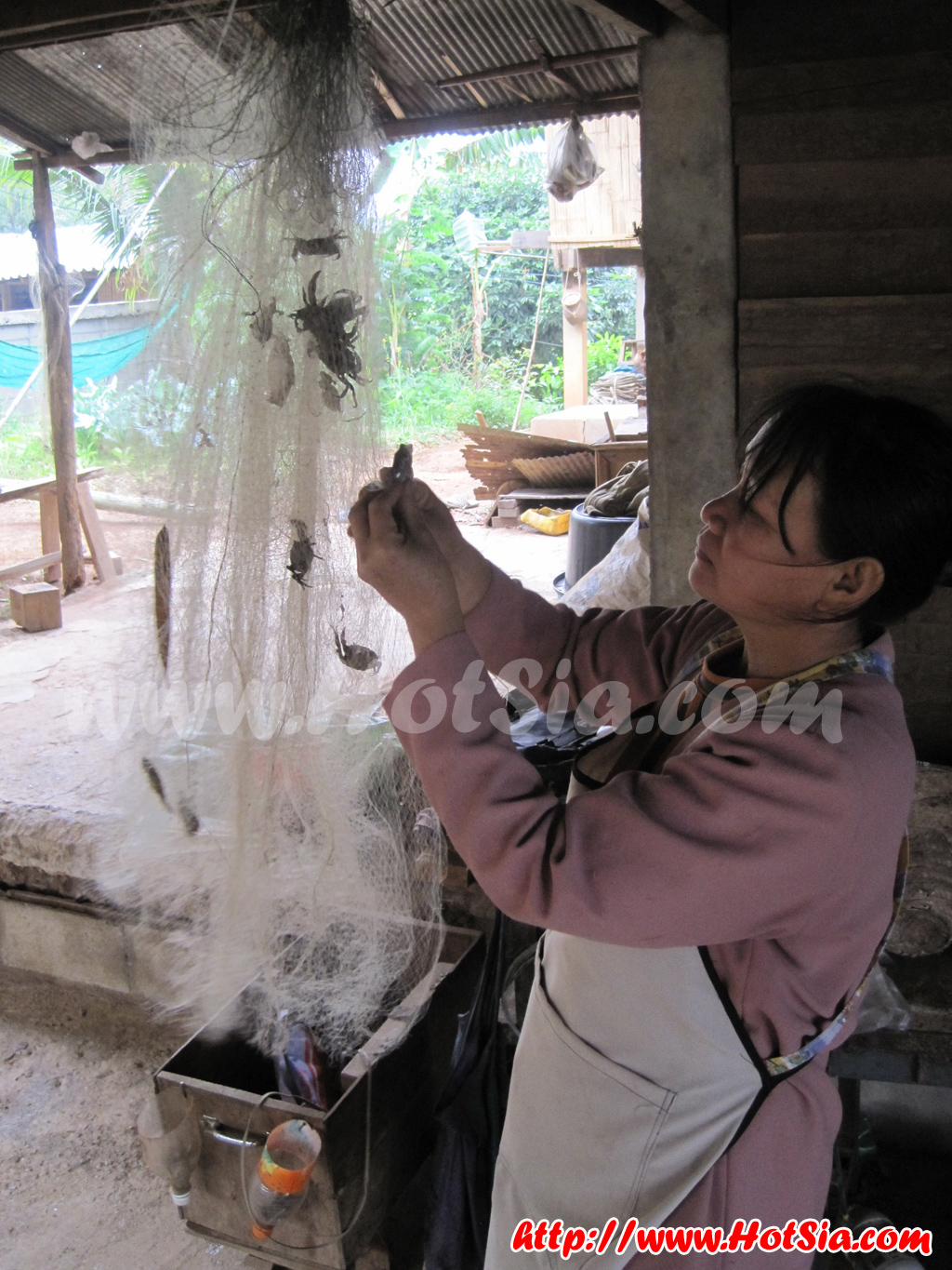 พะเยา เที่ยวโฮมสเตย์หุบเขาโอโซนบ้านฮวก เชียงคำ #2
