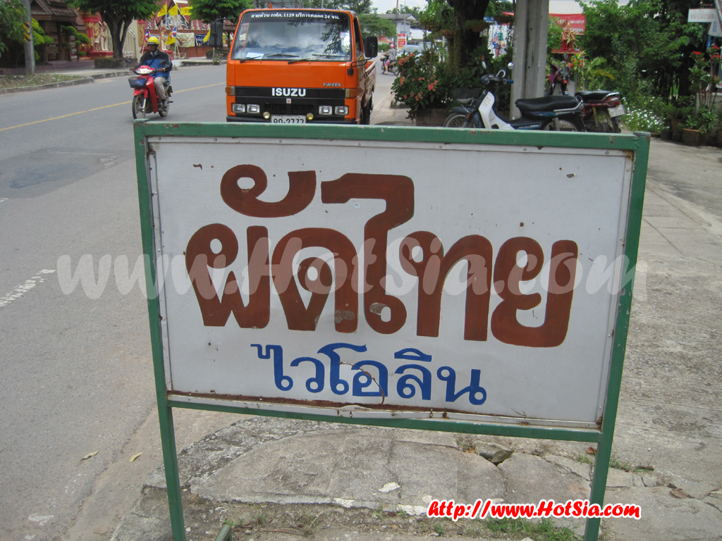 พะเยา ผัดไทยไวโอลิน อำเภอจุน พะเยา