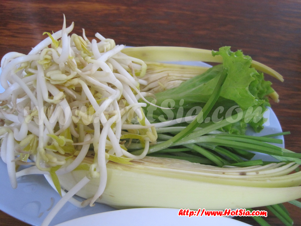 พะเยา ผัดไทยไวโอลิน อำเภอจุน พะเยา