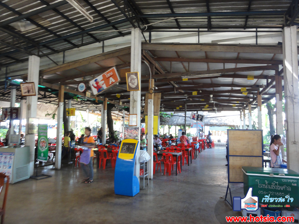 เที่ยวเพชรบูรณ์ ไก่ย่างวิเชียรบุรี ร้านบัวงตอง