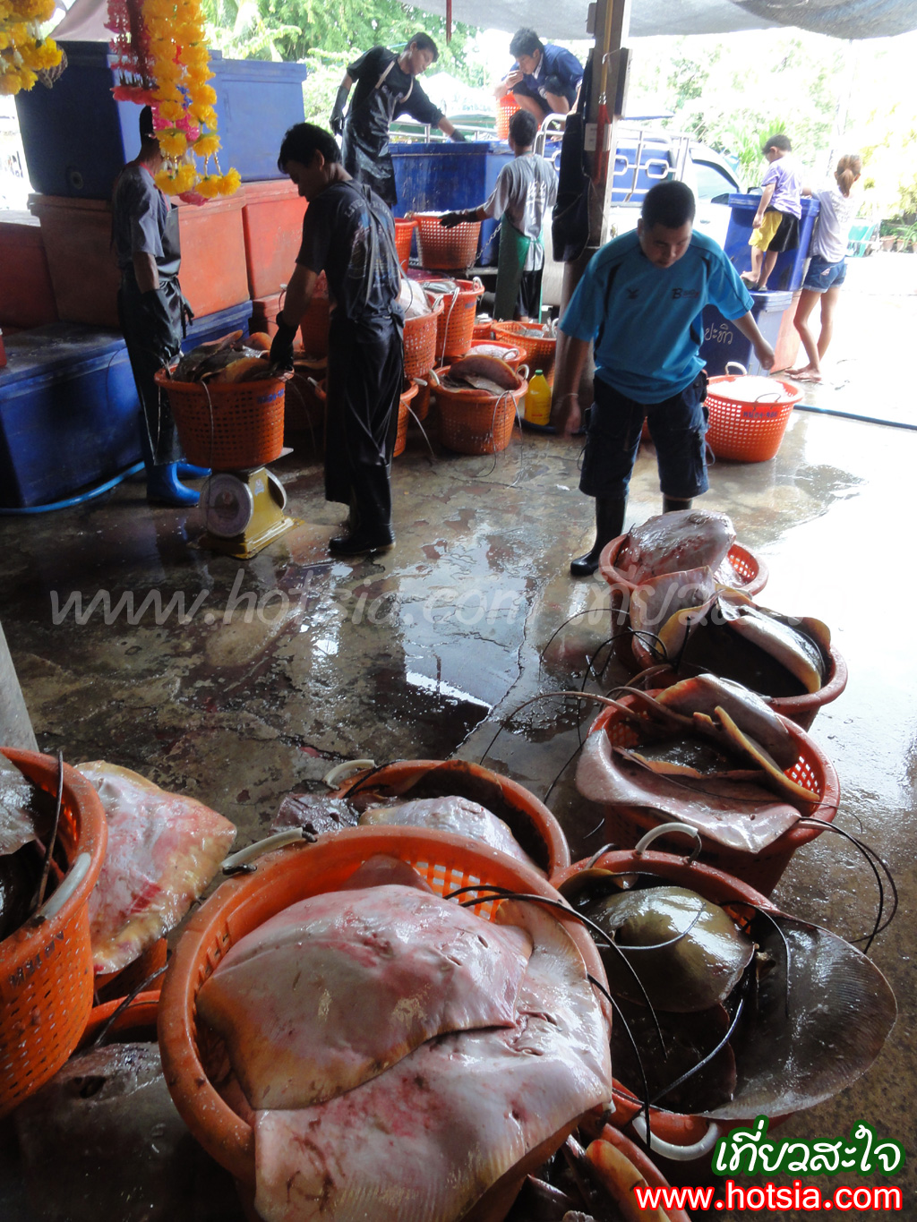 เที่ยวเพชรบุรี ครัวป้าเฉลียวเพชรบุรี