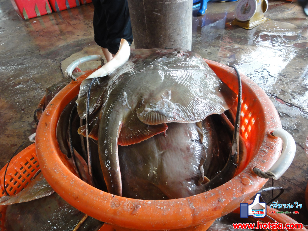 เที่ยวเพชรบุรี ครัวป้าเฉลียวเพชรบุรี